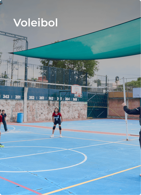 Voleibol